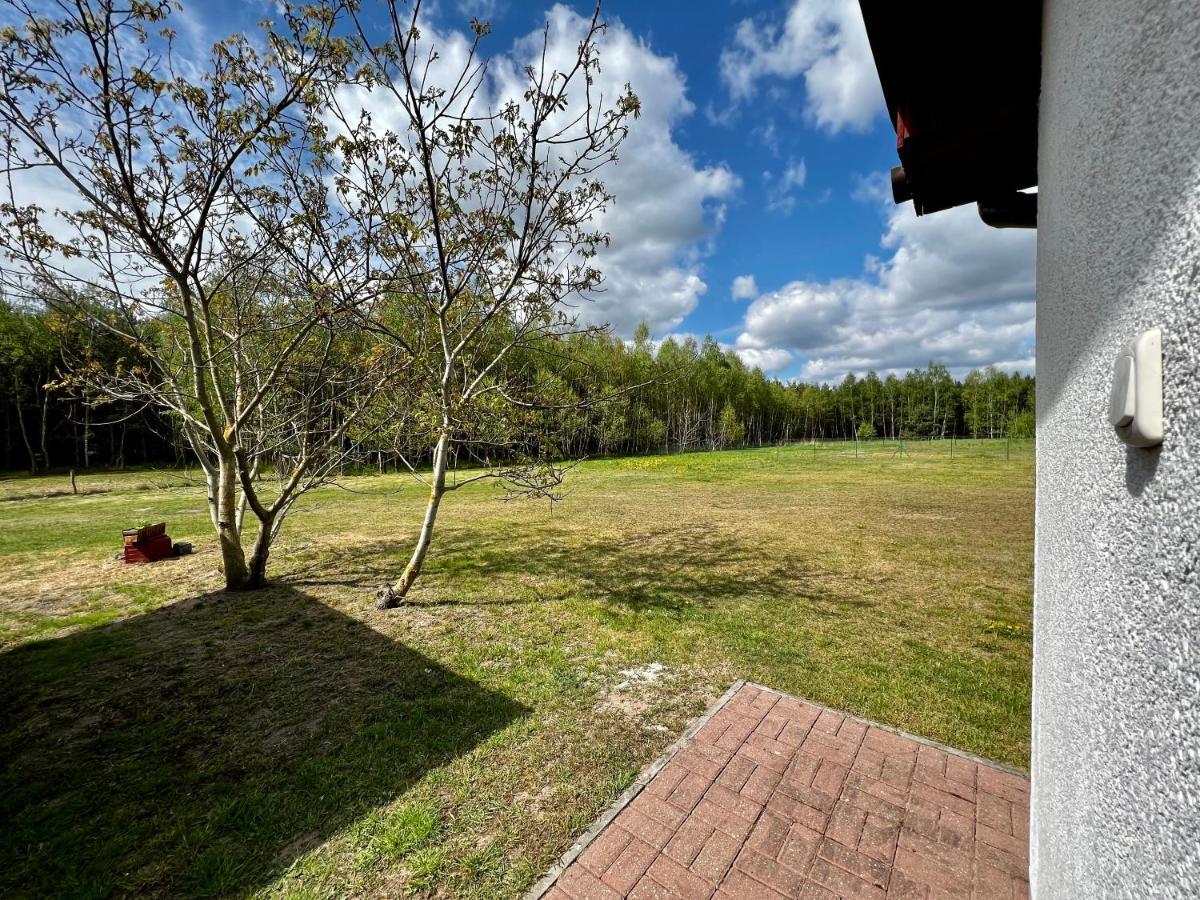 Holiday home Nad Warta Miedzychod