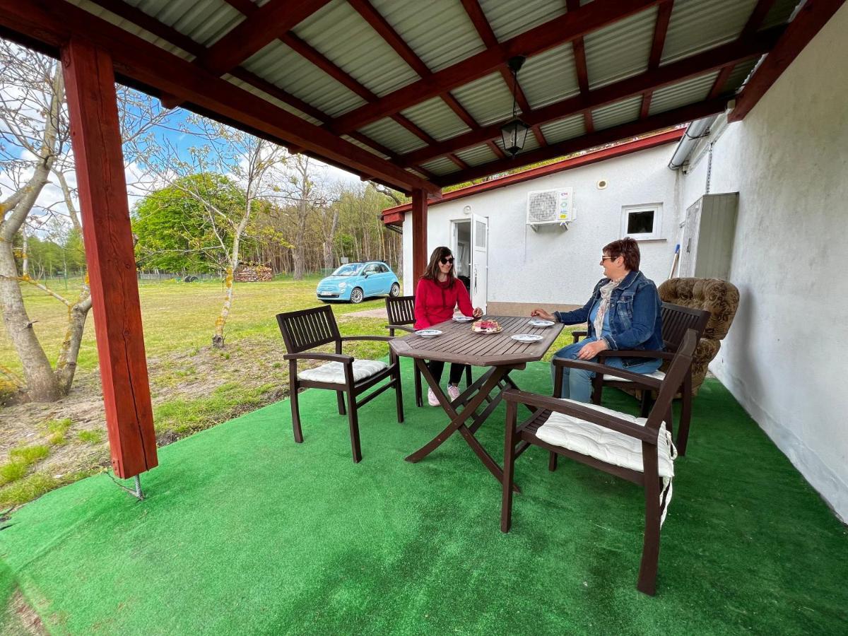 Nad Warta Holiday home Miedzychod