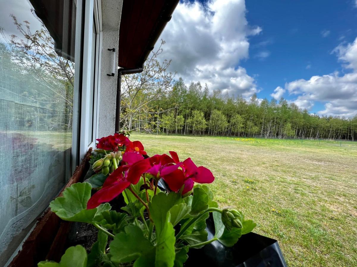 Holiday home Nad Warta Miedzychod