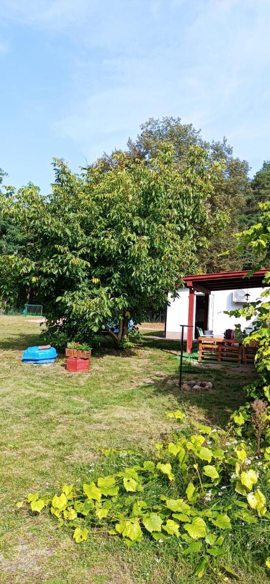 Holiday home Nad Warta *